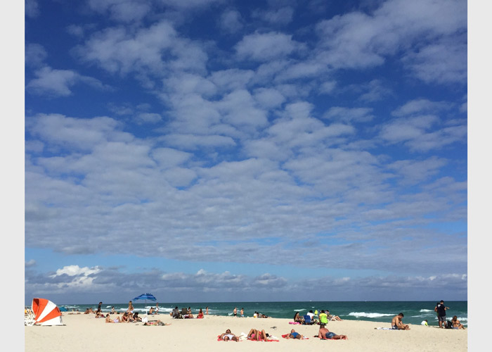 Beach Scene