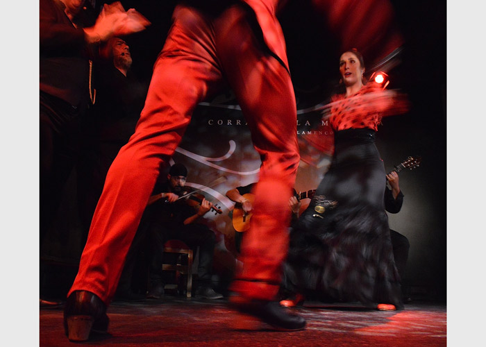 Flamenco - Madrid, Spain