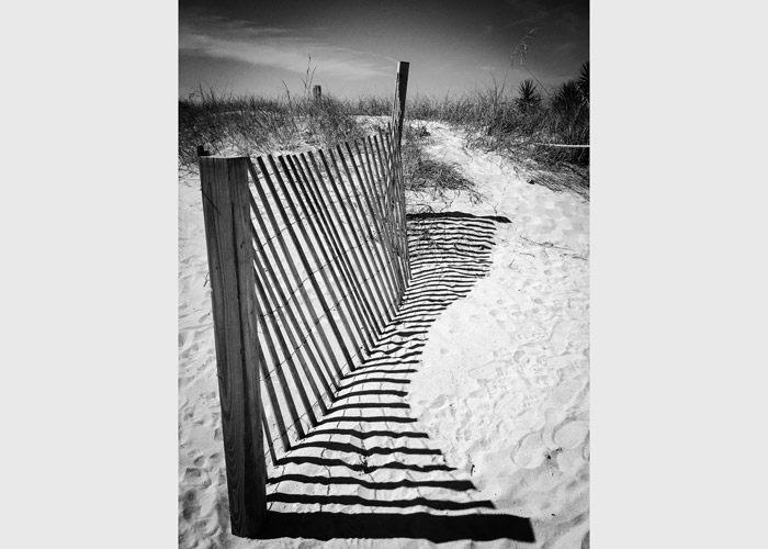 Dune Fence - Delaware