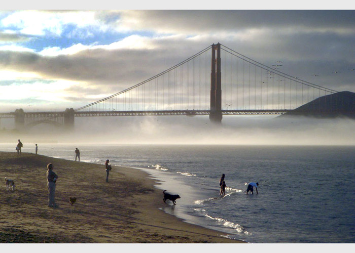Crissy Field - San Francisco